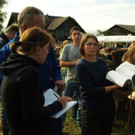 viehausstellung lingenau31_jpg-1319479202