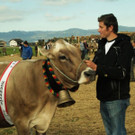 viehausstellung lingenau33_jpg-1319479223