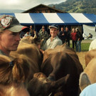 viehausstellung lingenau35_jpg-1319479233