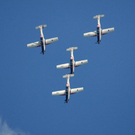 DSC_0079.jpg