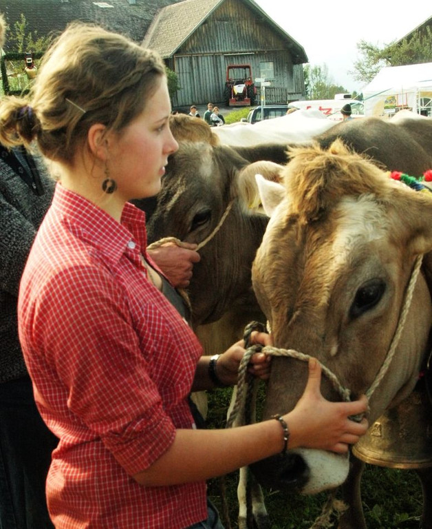 viehausstellung lingenau40_jpg-1319479255