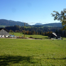 P1090987_jpg-1319522168