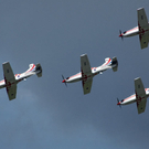 DSC_0086.jpg