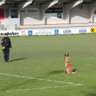normal_251011blaulichgmaktivnews075.JPG