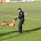 normal_251011blaulichgmaktivnews079.JPG