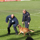 normal_251011blaulichgmaktivnews089.JPG
