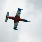 DSC_0113.jpg