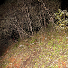 VU t___dl_Partenen14.jpg