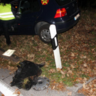 normal_25102011vub305rlaktivenws _19_.jpg