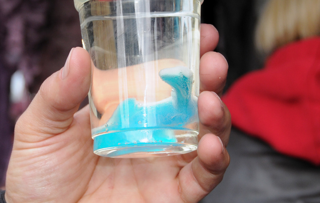 Martk Fu__ach 26_10_2011 18_jpg-1319651592