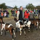 DSC00751 _Large__JPG-1319701146