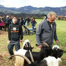 DSC00755 _Large__JPG-1319701152