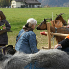 DSC00758 _Large__JPG-1319701156