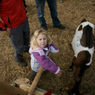 DSC00769 _Large__JPG-1319701173