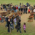 DSC00773 _Large__JPG-1319701184