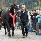 DSC00797 _Large__JPG-1319701239