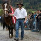 DSC00798 _Large__JPG-1319701244