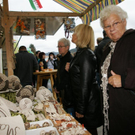 DSC00830 _Large__JPG-1319701418