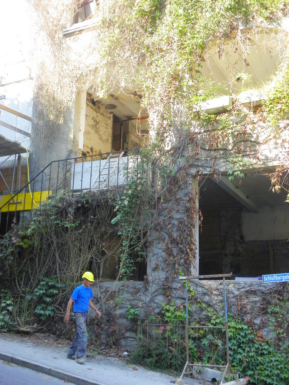 112_8168_JPG-1319715808