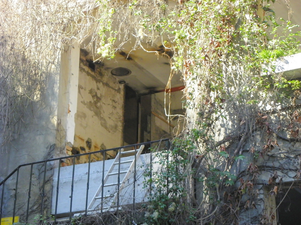 112_8169_JPG-1319715817