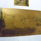 112_9118_JPG-1319723081