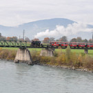 Rheinbaehle010.JPG