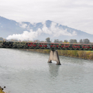 Rheinbaehle014.JPG