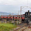 Rheinbaehle026.JPG