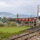 Rheinbaehle042.JPG