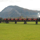 Rheinbaehle135.JPG