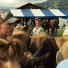 viehausstellung lingenau35_jpg-1319726564
