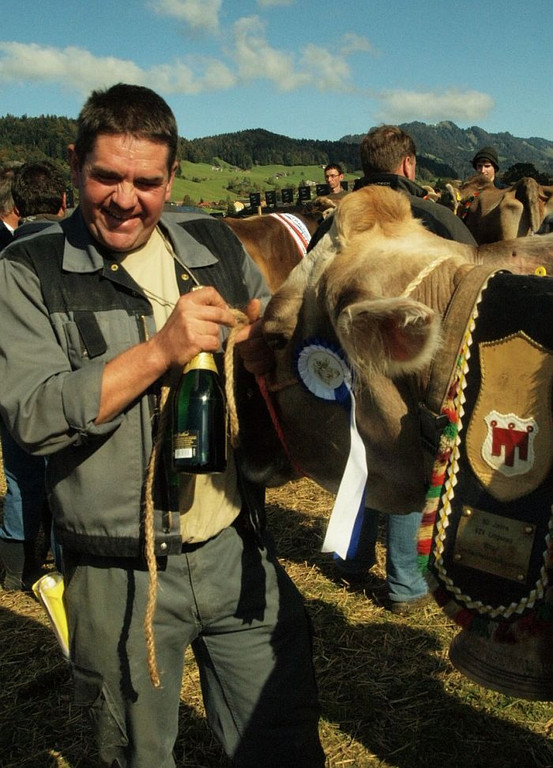 viehausstellung lingenau78_jpg-1319726675