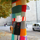 Bilder vom Baumpullover