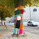 normal_27102011fmt_baumpullover_mw_02.JPG