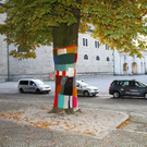 normal_27102011fmt_baumpullover_mw_11.JPG