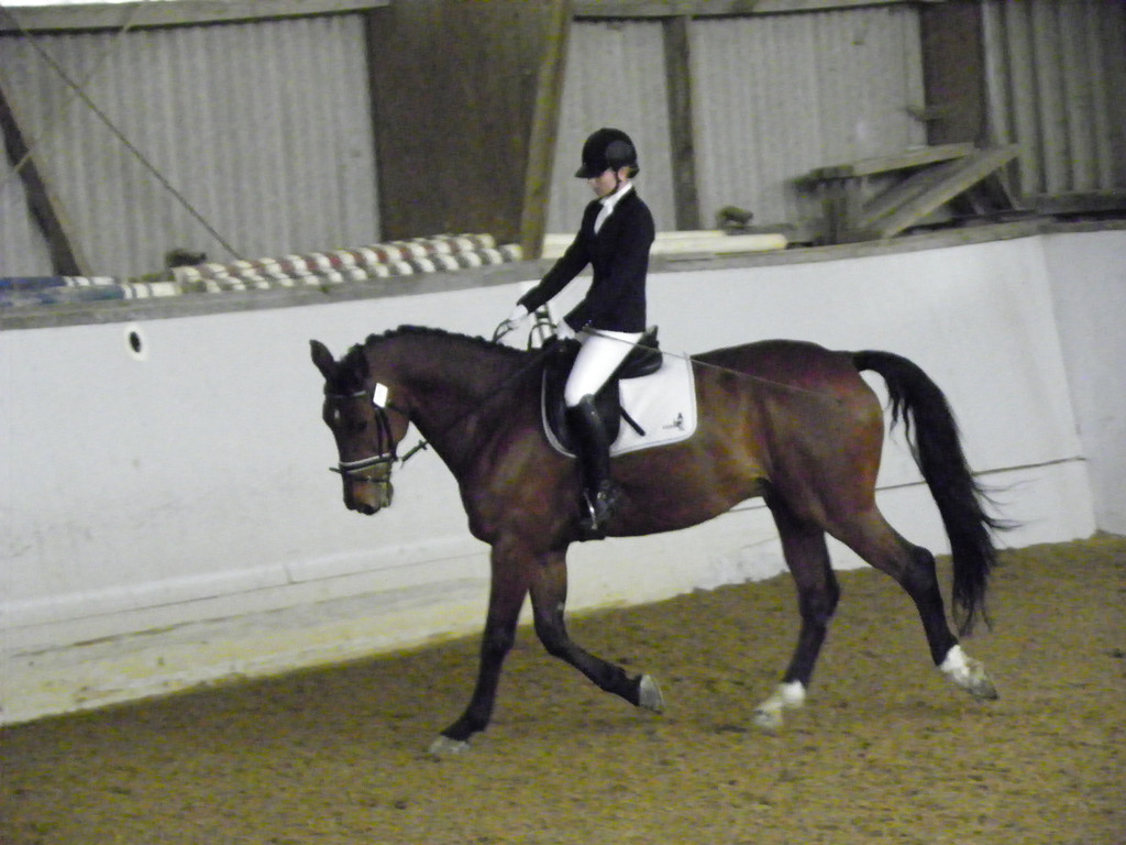 Bild 040_jpg-1319755379