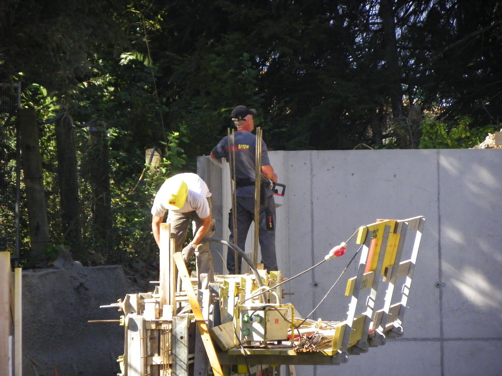 112_8194_JPG-1319784541