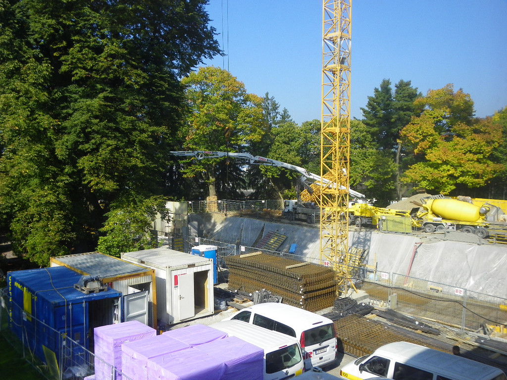 112_8231_JPG-1319784650