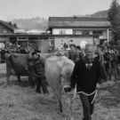 viehausstellung hittisau11_jpg-1319785188