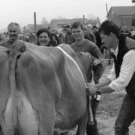 viehausstellung hittisau21_jpg-1319785201