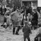 viehausstellung hittisau28_jpg-1319785210