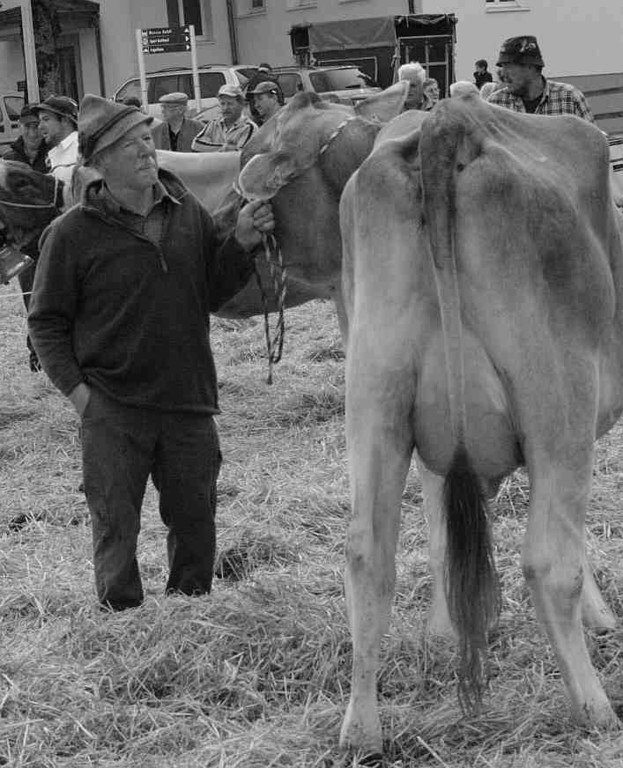 viehausstellung hittisau29_jpg-1319785211