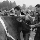 viehausstellung hittisau36_jpg-1319785223