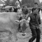 viehausstellung hittisau39_jpg-1319785226
