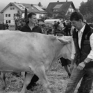 viehausstellung hittisau40_jpg-1319785227