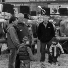 viehausstellung hittisau44_jpg-1319785231