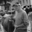 viehausstellung hittisau47_jpg-1319785235