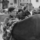 viehausstellung hittisau49_jpg-1319785240