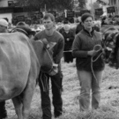 viehausstellung hittisau50_jpg-1319785241
