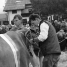 viehausstellung hittisau51_jpg-1319785243